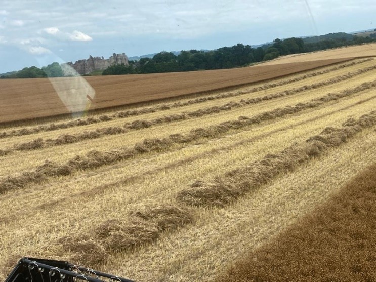 Combining Attila Winter Linseed at NJ CV Turner June 2022