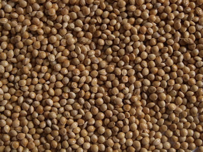Millet Millet