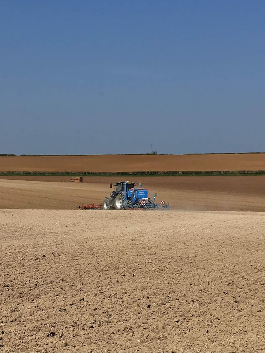 Sowing Spring Linseed - April 2019