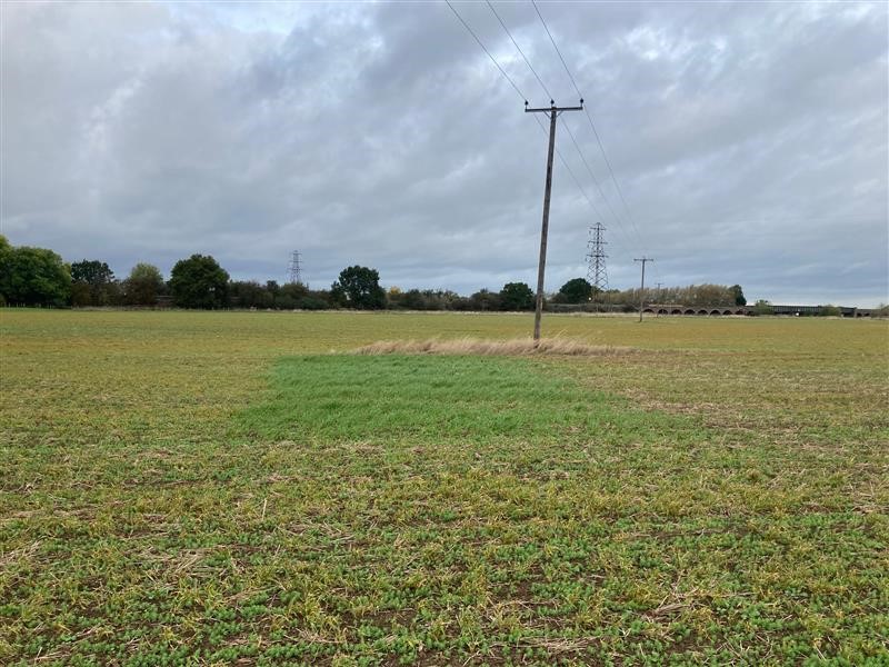 Spray 'miss' of Fusilade on barley volunteers