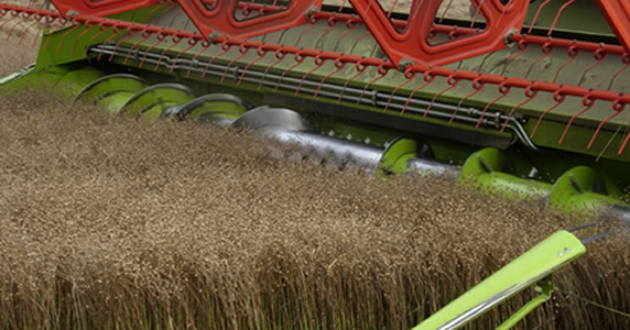 Spring Linseed Harvesting