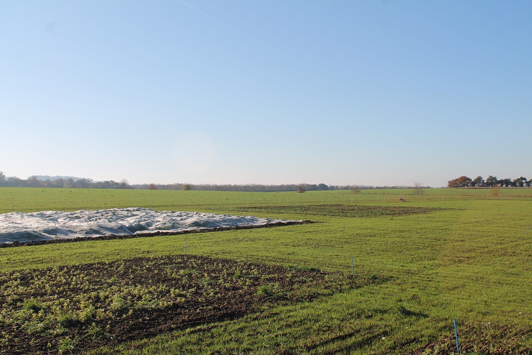 View across Premium Crops stand at Cereals 22 November 2021 2 Smaller