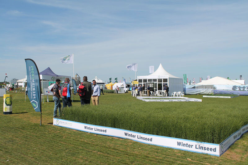 Cereals 2015