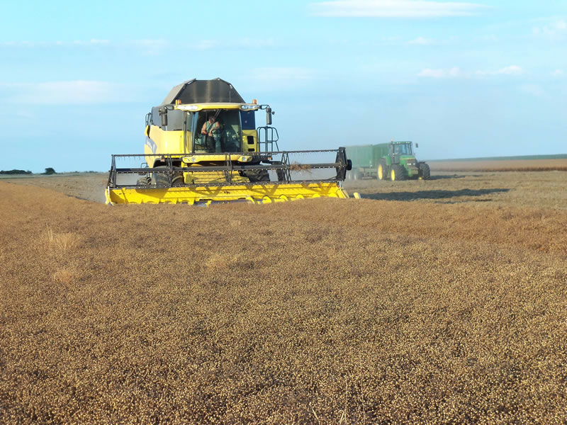 Winter Linseed Harvest Results